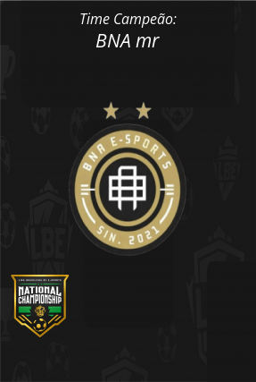 Banner Campeão