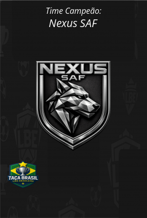 Banner Campeão