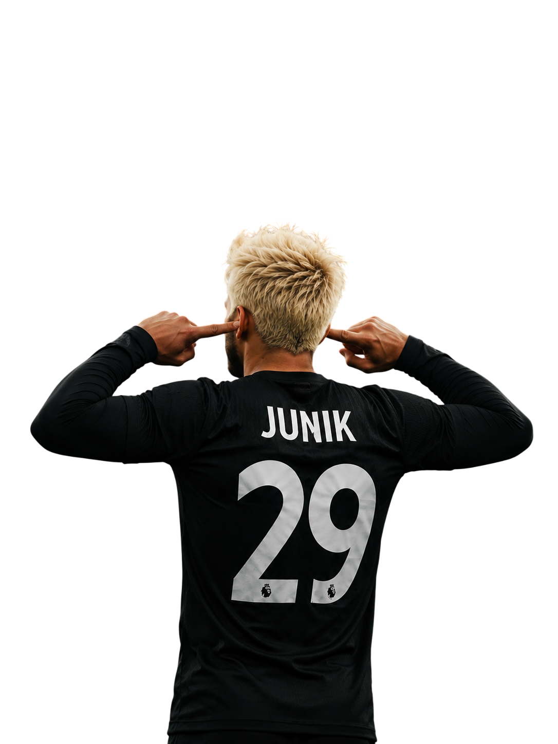 Junik29