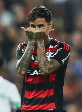 Stifler gotoso