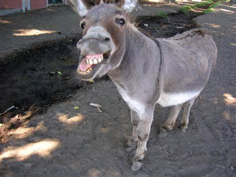 JeeffiiN